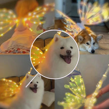 Load image into Gallery viewer, 【LAST DAY SALE】Electric Butterfly Wings with Glowing Lights