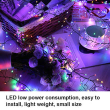 Load image into Gallery viewer, 【LAST DAY SALE】 LED Christmas Copper String Lights