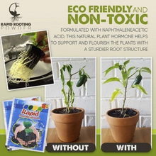 Load image into Gallery viewer, RapidRoot™ Organic Growth Powder【50% OFF Ends Today】