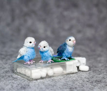 Load image into Gallery viewer, 【Mother's Day Sale - 50% OFF】Needle Felting Miniature Bird Kit