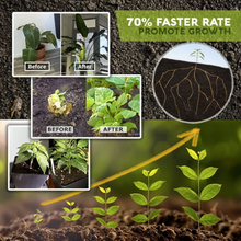 Load image into Gallery viewer, RapidRoot™ Organic Growth Powder【50% OFF Ends Today】