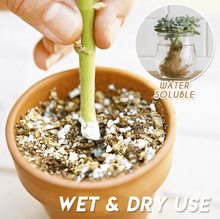 Load image into Gallery viewer, RapidRoot™ Organic Growth Powder【50% OFF Ends Today】