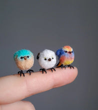 Load image into Gallery viewer, 【Mother's Day Sale - 50% OFF】Needle Felting Miniature Bird Kit