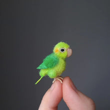 Load image into Gallery viewer, 【Mother's Day Sale - 50% OFF】Needle Felting Miniature Bird Kit
