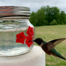 Load image into Gallery viewer, 【50% OFF】Mason Jar Hummingbird Feeder