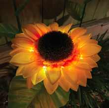 Load image into Gallery viewer, Solar Sunflower Lights