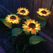 Load image into Gallery viewer, Solar Sunflower Lights