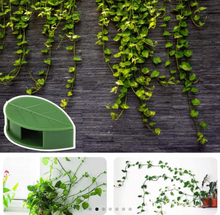 Load image into Gallery viewer, New Plant Climbing Wall Clips