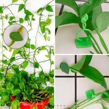 Load image into Gallery viewer, New Plant Climbing Wall Clips