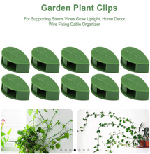Load image into Gallery viewer, New Plant Climbing Wall Clips