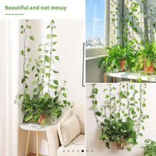 Load image into Gallery viewer, New Plant Climbing Wall Clips