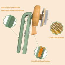 Load image into Gallery viewer, Pumpkin Pop Pet Brush