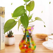 Load image into Gallery viewer, Magic Soil™ Biodegradable Plant Beads