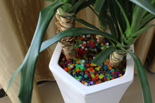 Load image into Gallery viewer, Magic Soil™ Biodegradable Plant Beads