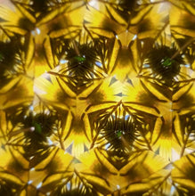 Load image into Gallery viewer, 【BEST GIFT IDEA - 60% OFF】Natural Wood DIY Kaleidoscope