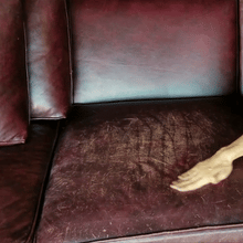 Load image into Gallery viewer, 【🔥50% OFF | Buy 2 Get 3】Advanced Leather Restoration Renewal