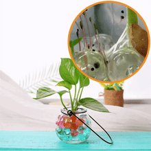 Load image into Gallery viewer, Magic Soil™ Biodegradable Plant Beads