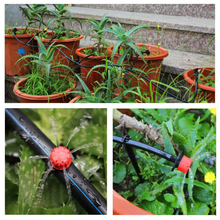 Load image into Gallery viewer, ModernMint™ Cooling Mist Irrigation Kit