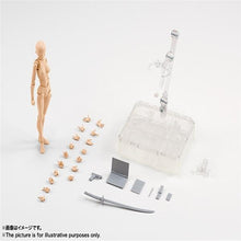 Load image into Gallery viewer, High Quality BODY KUN / BODY CHAN Model Toy