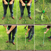 Load image into Gallery viewer, Garden Buddy™ Long Handle Weed Extractor