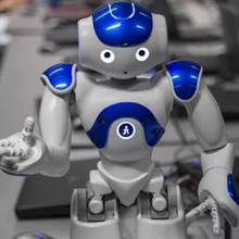 Load image into Gallery viewer, 【LAST DAY SALE】Gesture Sensing Smart Robot
