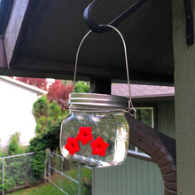 Load image into Gallery viewer, 【50% OFF】Mason Jar Hummingbird Feeder
