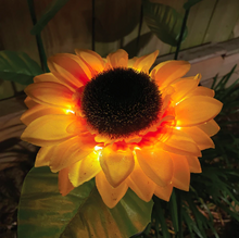 Load image into Gallery viewer, Solar Sunflower Lights
