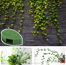 Load image into Gallery viewer, New Plant Climbing Wall Clips
