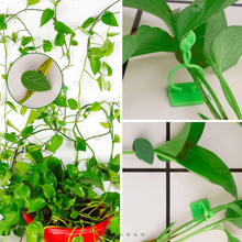 Load image into Gallery viewer, New Plant Climbing Wall Clips
