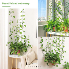 Load image into Gallery viewer, New Plant Climbing Wall Clips
