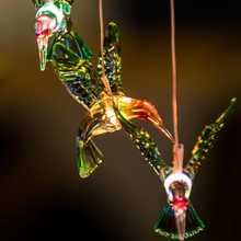 Load image into Gallery viewer, 【50% OFF】Solar Powered Hummingbird Lights - 100% Waterproof!
