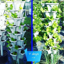 Load image into Gallery viewer, Flower Tower™ Vertical Stacking Plant Pots
