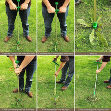 Load image into Gallery viewer, Garden Buddy™ Long Handle Weed Extractor
